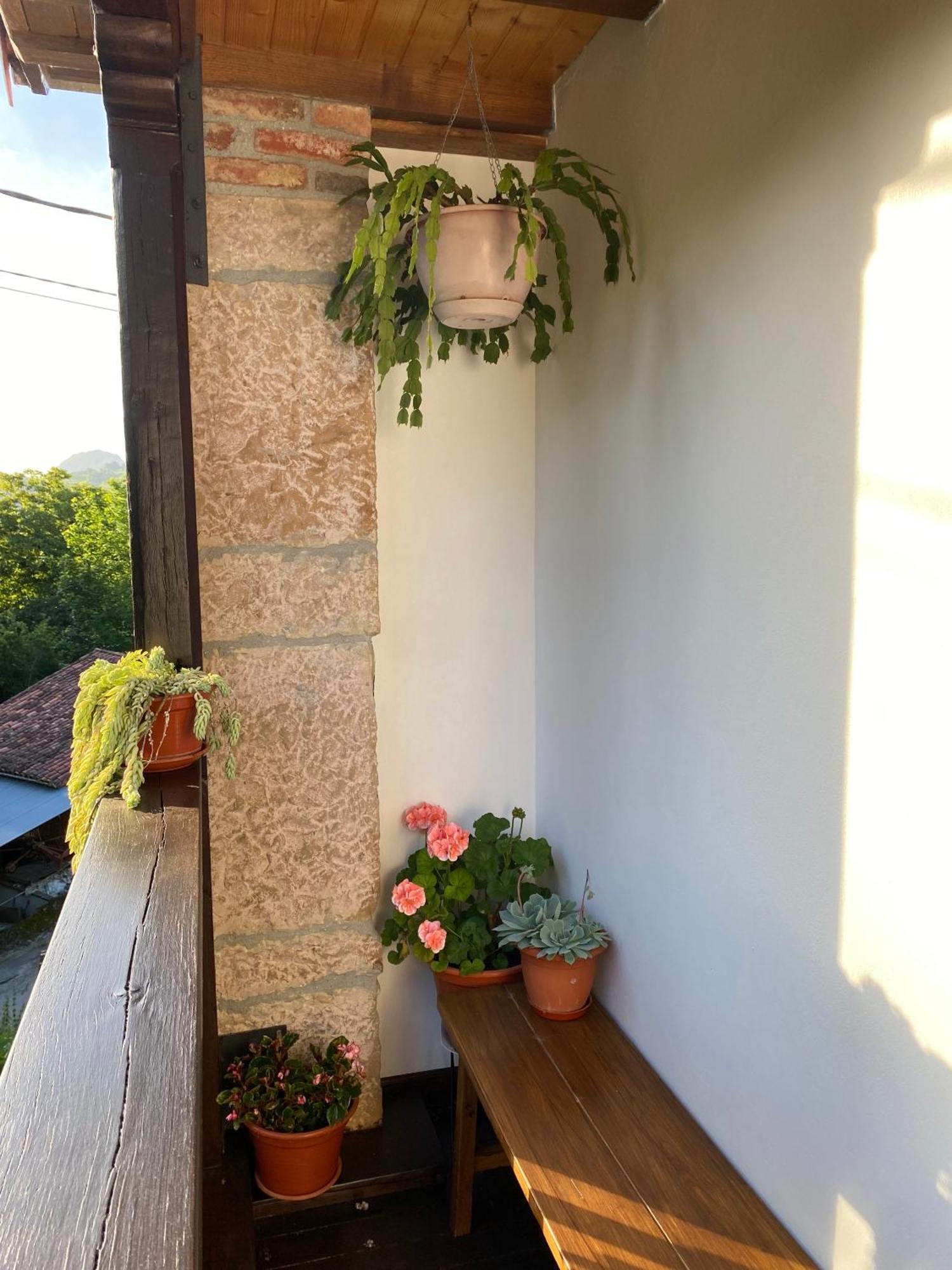 Apartamentos Rurales La Caviana Cangas de Onis Exterior photo